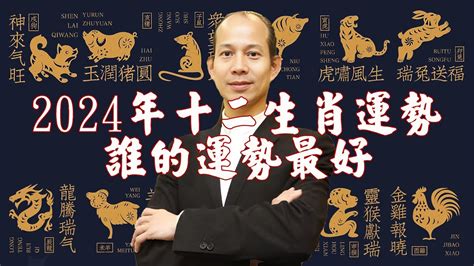 今年屬龍的運勢|2024龍年運勢大揭密！12生肖好運全攻略，事業、感情、財運一。